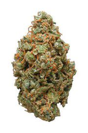 FLOWER 14g - Great White Shark at Curaleaf AZ Bell FLOWER 14g - Great White Shark at Curaleaf AZ Bell