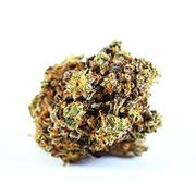 Flower 3.5g - Blueberry Haze at Curaleaf AZ Midtown Flower 3.5g - Blueberry Haze at Curaleaf AZ Midtown