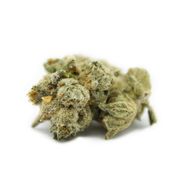 Cookie Pebbles | 3.5g at Curaleaf MA Oxford | Medical Use Cookie Pebbles | 3.5g at Curaleaf MA Oxford | Medical Use