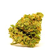 Flower Display 1g - Super Sherbert at Curaleaf AZ Youngtown Flower Display 1g - Super Sherbert at Curaleaf AZ Youngtown