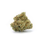 CBD Shark Shock | 3.5g at Curaleaf MA Oxford | Medical Use CBD Shark Shock | 3.5g at Curaleaf MA Oxford | Medical Use
