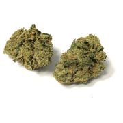 Flower 1g - Grease Monkey at Curaleaf AZ Bell Flower 1g - Grease Monkey at Curaleaf AZ Bell