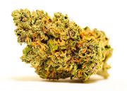 Flower 1g - Zprite at Curaleaf AZ Youngtown Flower 1g - Zprite at Curaleaf AZ Youngtown