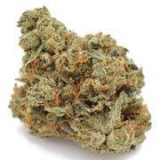 Skywalker OG (1/8oz) at Curaleaf NJ Bellmawr Skywalker OG (1/8oz) at Curaleaf NJ Bellmawr