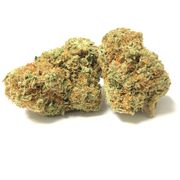 Bruce Banner Trim | Bulk at Curaleaf AZ Youngtown Bruce Banner Trim | Bulk at Curaleaf AZ Youngtown