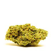Sedona Kush | 14g at Curaleaf AZ Camelback Sedona Kush | 14g at Curaleaf AZ Camelback