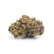 Star Pupil | 3.5g at Curaleaf MA Oxford | Medical Use Star Pupil | 3.5g at Curaleaf MA Oxford | Medical Use