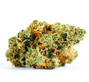 Flower 3.5g - White Dream at Curaleaf AZ Youngtown Flower 3.5g - White Dream at Curaleaf AZ Youngtown
