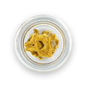 Batter 1g - Jack Herer at Curaleaf AZ Youngtown Batter 1g - Jack Herer at Curaleaf AZ Youngtown