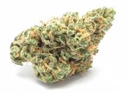 Blue Dream | 1g at Curaleaf AZ Bell Blue Dream | 1g at Curaleaf AZ Bell