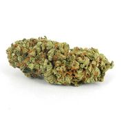 Flower 3.5g - LA Confidential at Curaleaf AZ Bell Flower 3.5g - LA Confidential at Curaleaf AZ Bell