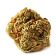 Animal Cookies X Kush Mint | 3.5g at Curaleaf AZ Central Animal Cookies X Kush Mint | 3.5g at Curaleaf AZ Central