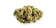 Animal Face | 3.5g | Mid Tier at Curaleaf AZ Glendale Animal Face | 3.5g | Mid Tier at Curaleaf AZ Glendale