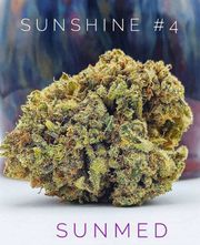 SunShine #4 at Curaleaf Takoma SunShine #4 at Curaleaf Takoma