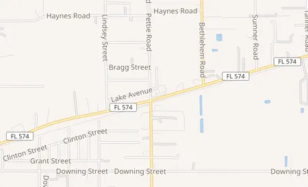 map of 14710 Dr Martin Luther King Jr Blvd Dover, FL 33527