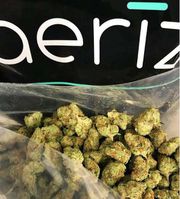 Mimosa | 3.5g at Curaleaf AZ Central Mimosa | 3.5g at Curaleaf AZ Central