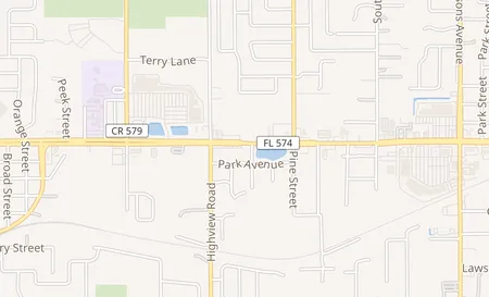 map of 11923 E Dr Martin Luther King Jr Blvd Seffner, FL 33584