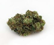 Lemon Grenade 8ths at Curaleaf Takoma Lemon Grenade 8ths at Curaleaf Takoma
