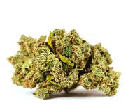 Bordello | 1g | Mid Tier at Curaleaf AZ Bell Bordello | 1g | Mid Tier at Curaleaf AZ Bell