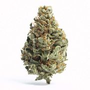 Flower 3.5g - Blue Blitz at Curaleaf AZ Central Flower 3.5g - Blue Blitz at Curaleaf AZ Central