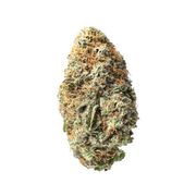 Bubba Kush at Curaleaf Takoma Bubba Kush at Curaleaf Takoma