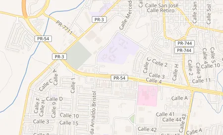 map of Rl Molino Shopping Center PR 54 Guayama, PR 00730