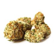 Watermelon Sangria | 3.5g | Top Shelf at Curaleaf AZ Bell Watermelon Sangria | 3.5g | Top Shelf at Curaleaf AZ Bell