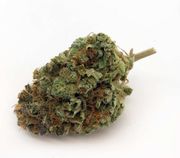 Lemon Hash Diesel 8th at Curaleaf Takoma Lemon Hash Diesel 8th at Curaleaf Takoma
