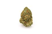 Green Fire OG Small Bud (1/4oz) at Curaleaf NJ Bellmawr Green Fire OG Small Bud (1/4oz) at Curaleaf NJ Bellmawr