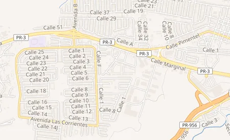map of CARR # 3 km. 22.5 URB. ALTURAS DE RIO GRANDE Rio Grande, PR 00745