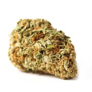 Mimosa | 3.5g | Mid Tier at Curaleaf AZ Midtown Mimosa | 3.5g | Mid Tier at Curaleaf AZ Midtown