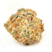Chocolate Diesel | 14g | Baseline at Curaleaf AZ Camelback Chocolate Diesel | 14g | Baseline at Curaleaf AZ Camelback