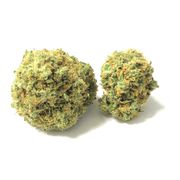 Ghost Train Haze | 3.5g | Mid Tier at Curaleaf AZ Pavilions Ghost Train Haze | 3.5g | Mid Tier at Curaleaf AZ Pavilions