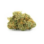 Pineapple Express | 3.5g at Curaleaf MA Hanover Pineapple Express | 3.5g at Curaleaf MA Hanover