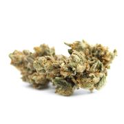 Cherry Fruitbound | 3.5g at Curaleaf MA Oxford | Medical Use Cherry Fruitbound | 3.5g at Curaleaf MA Oxford | Medical Use