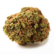 Flower 3.5g - Lions Milk at Curaleaf AZ Bell Flower 3.5g - Lions Milk at Curaleaf AZ Bell