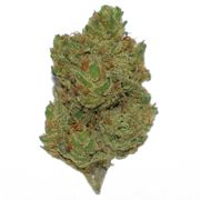 Super Lemon Haze (1/4oz) at Curaleaf NJ Bellmawr Super Lemon Haze (1/4oz) at Curaleaf NJ Bellmawr