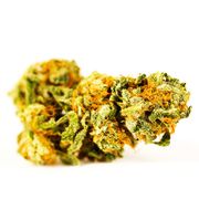 Tri-Fi | 3.5g | Top Shelf at Curaleaf AZ Central Tri-Fi | 3.5g | Top Shelf at Curaleaf AZ Central