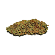 HMS Girl Scout Cookies BRONZE 3.5g at Curaleaf Gaithersburg HMS Girl Scout Cookies BRONZE 3.5g at Curaleaf Gaithersburg