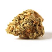 Flower 3.5g - Slurricane at Curaleaf AZ Bell Flower 3.5g - Slurricane at Curaleaf AZ Bell