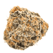 Orange Cookies 1g at Curaleaf AZ Bell Orange Cookies 1g at Curaleaf AZ Bell