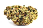 Lava Cake | 3.5g at Curaleaf AZ Gilbert Lava Cake | 3.5g at Curaleaf AZ Gilbert