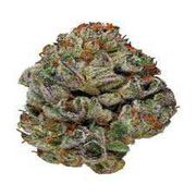 Skywalker OG 8th at Curaleaf Takoma Skywalker OG 8th at Curaleaf Takoma