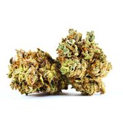 Flower 1g - Lemon Hashplant at Curaleaf AZ Camelback Flower 1g - Lemon Hashplant at Curaleaf AZ Camelback