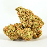 Flower 1g - Dream Queen at Curaleaf AZ Youngtown Flower 1g - Dream Queen at Curaleaf AZ Youngtown