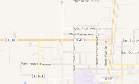 map of 407 W Belt Ave Bushnell, FL 33513