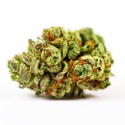 Bubble Gum Chem | 3.5g | Top Shelf at Curaleaf AZ Camelback Bubble Gum Chem | 3.5g | Top Shelf at Curaleaf AZ Camelback