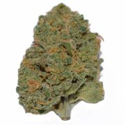 Blue Dream Small Bud (1/4oz) at Curaleaf NJ Bellmawr Blue Dream Small Bud (1/4oz) at Curaleaf NJ Bellmawr