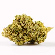 Flower 3.5g - GG#4 at Curaleaf AZ Gilbert Flower 3.5g - GG#4 at Curaleaf AZ Gilbert