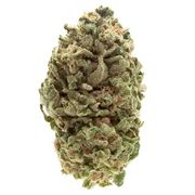 Flower 1g - Banana Kush at Curaleaf AZ Bell Flower 1g - Banana Kush at Curaleaf AZ Bell